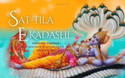 Sat-tila Ekadashi