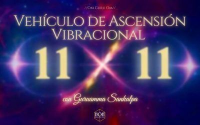 Vehículo de Ascensión Dimensional Portal 11*11