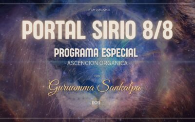Portal 8 8 2025 – Ascensión Orgánica